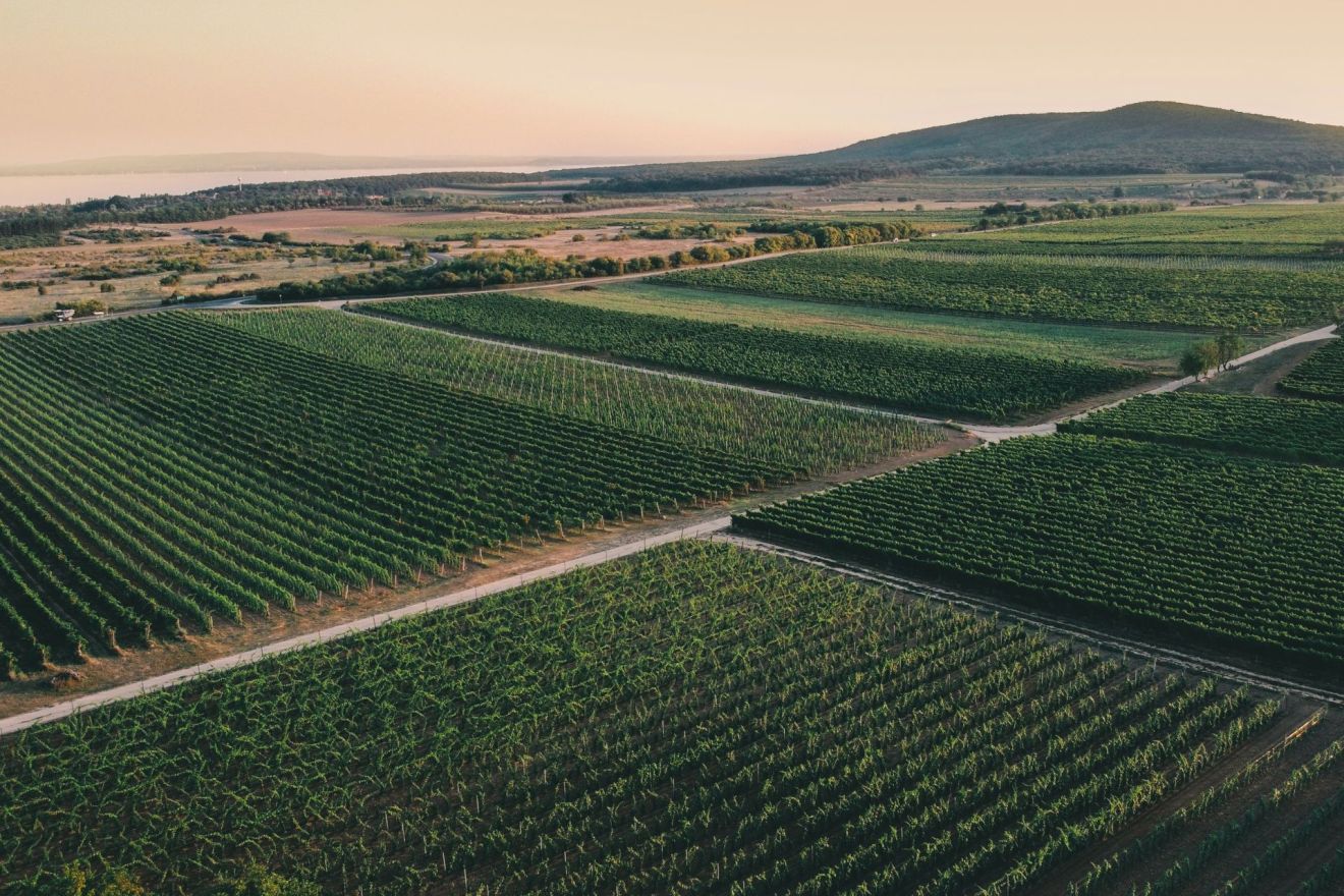 wijnland-oost-europa
