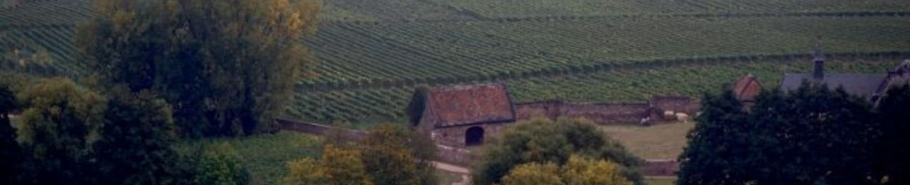 Valpolicella Ripasso